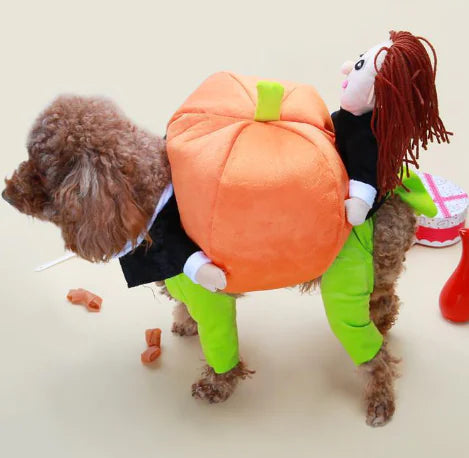 Santa Claus Gift Box Pet Costume Outfit