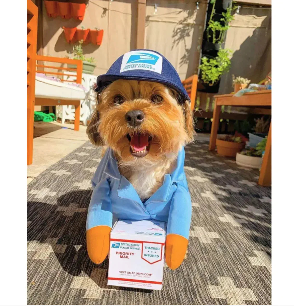Mailman Costume for Dogs