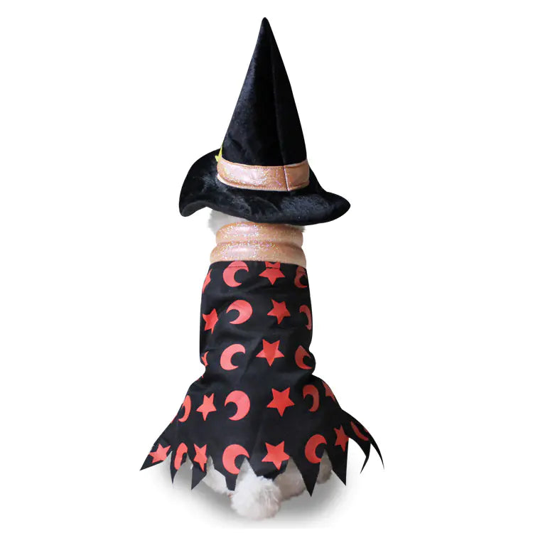 Christmas and Halloween Pet Costume for Dogs