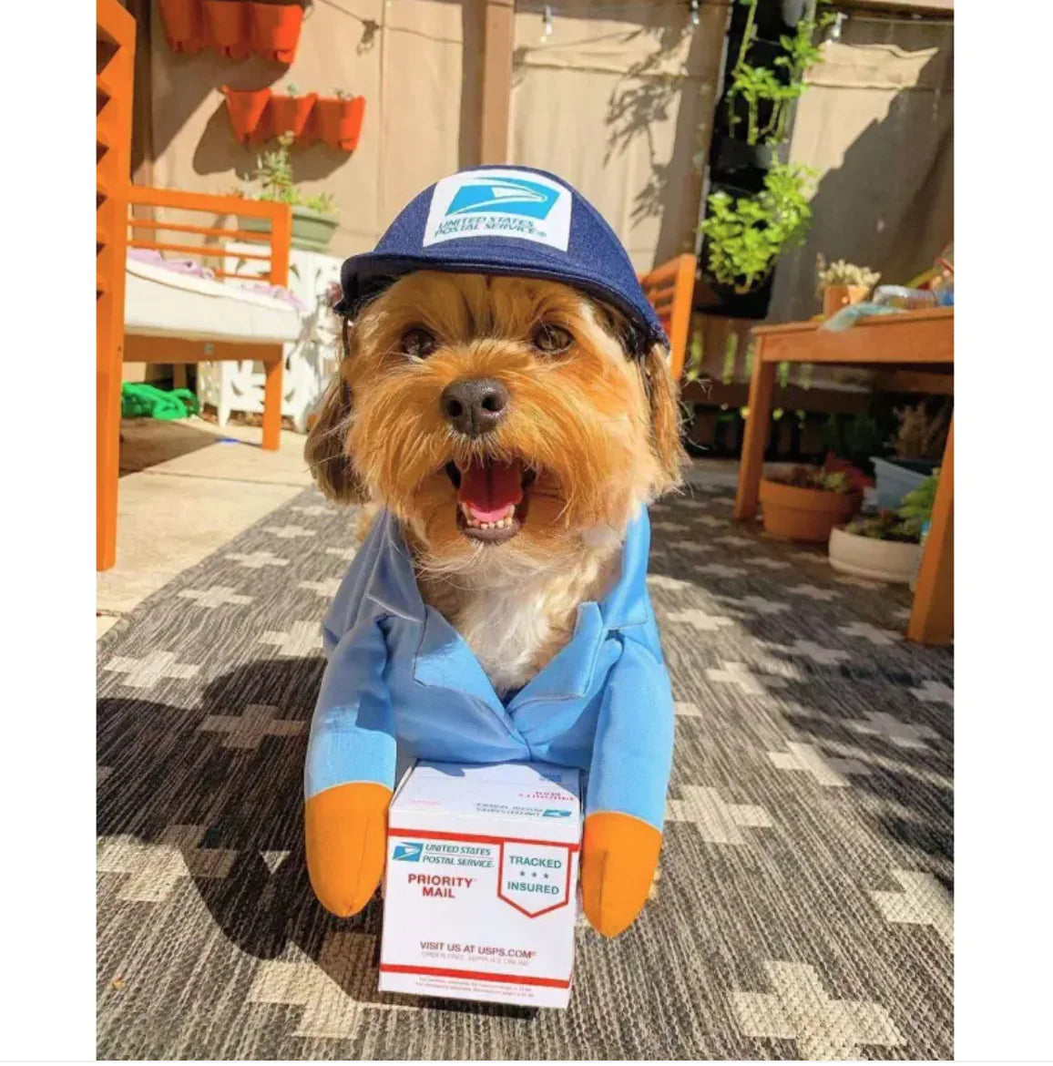 Mailman Costume for Dogs