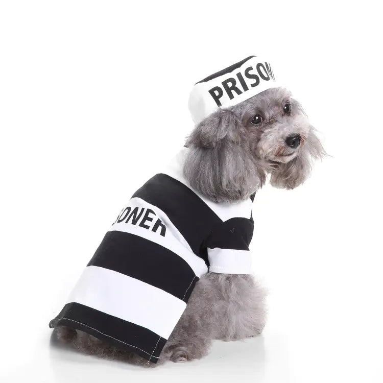 Christmas and Halloween Pet Costume for Dogs