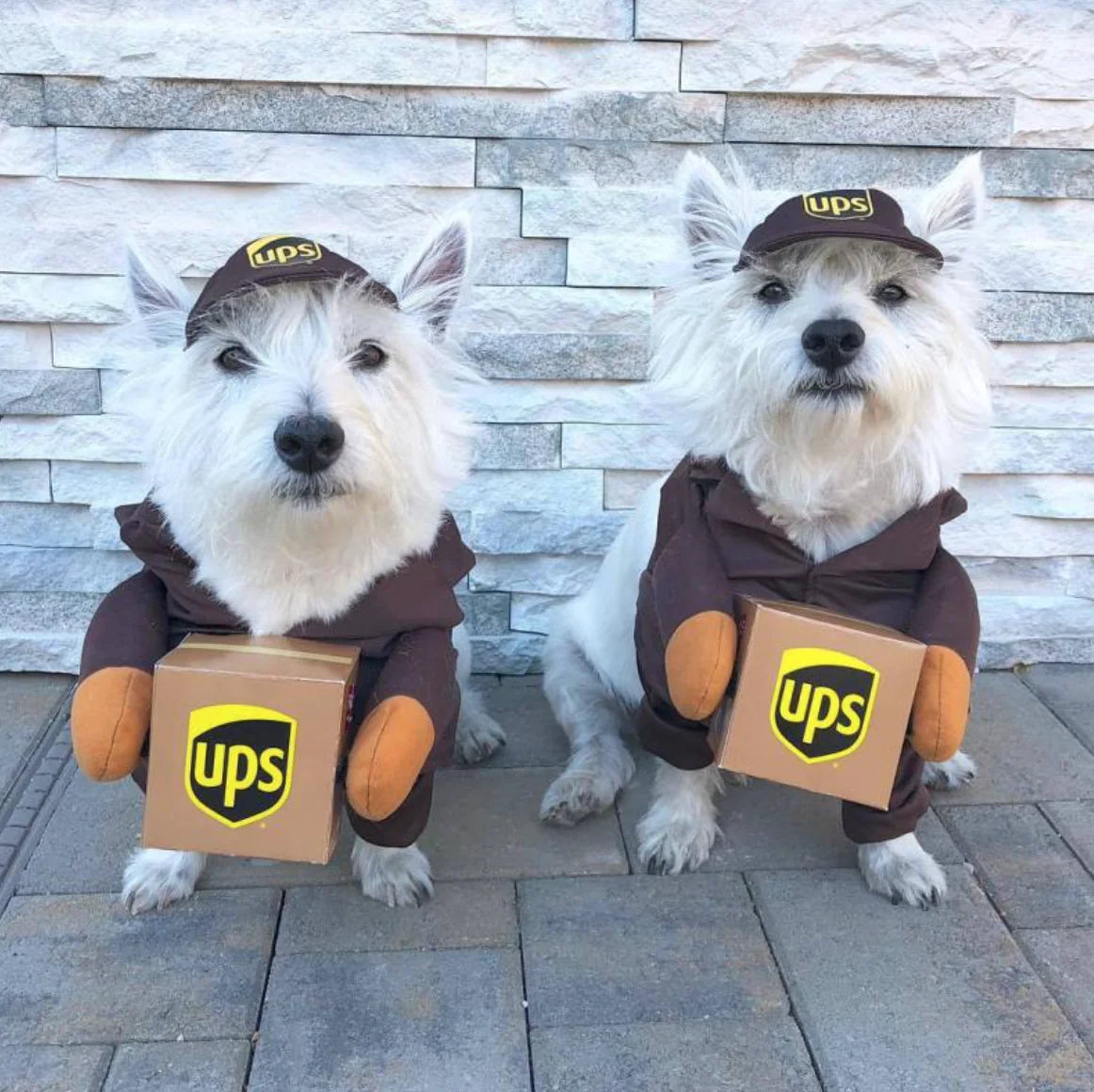 Mailman Costume for Dogs