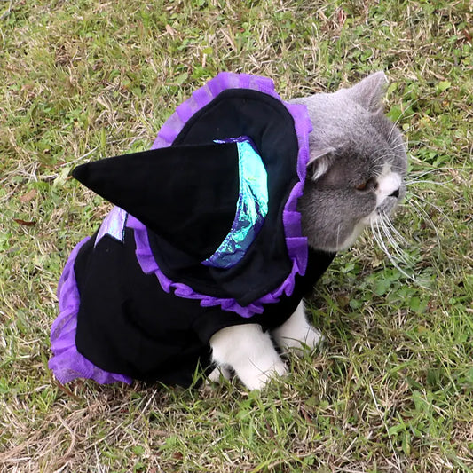 Festive Wizard Dog Apparel for Holidays