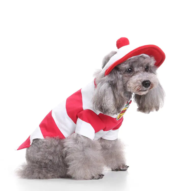 Christmas and Halloween Pet Costume for Dogs