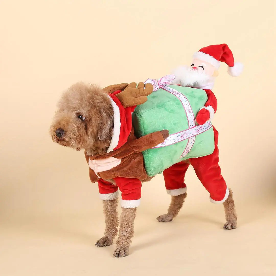 Santa Claus Gift Box Pet Costume Outfit