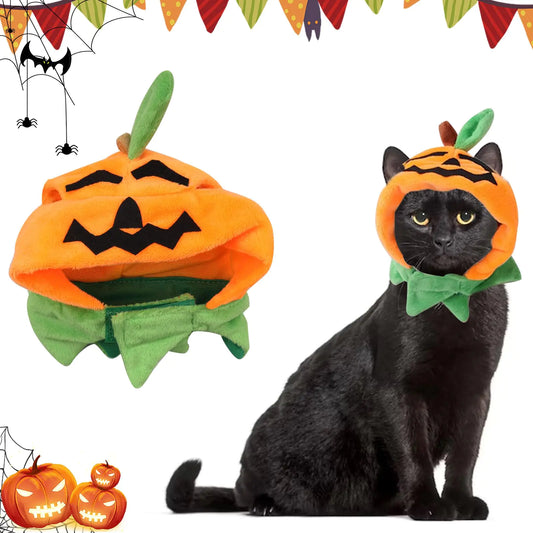 Halloween Cat Costume - Pumpkin Hat