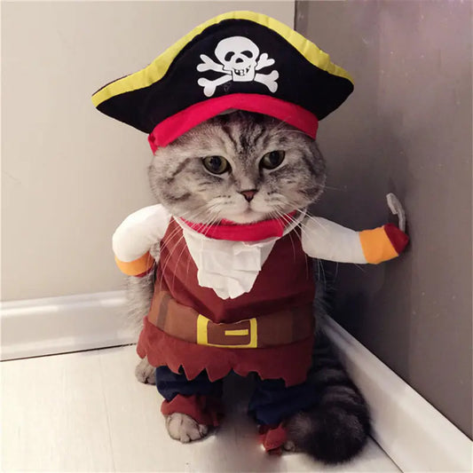 Teddy Pirate Pet Costume for Halloween Dress-Up