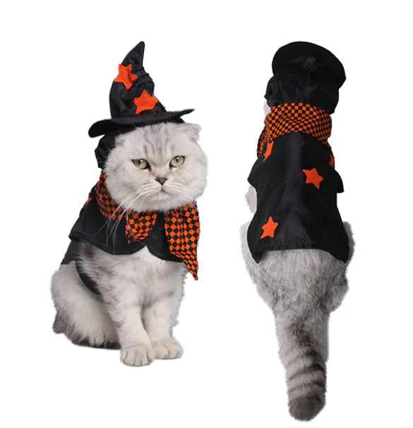 Halloween Witch Pet Costume with Cloak and Hat