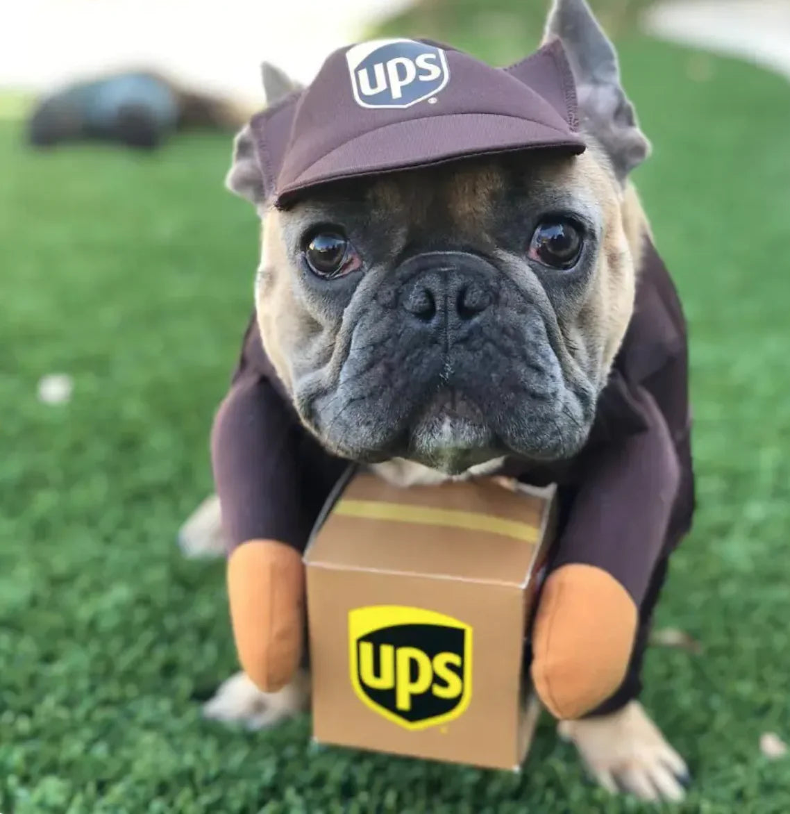 Mailman Costume for Dogs
