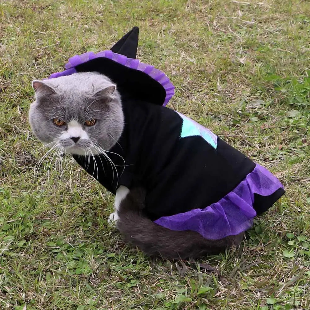 Festive Wizard Dog Apparel for Holidays